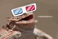3D Laugh GIF