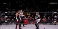 Matt Hardy Aew On Tnt GIF by All Elite Wrestling on TV