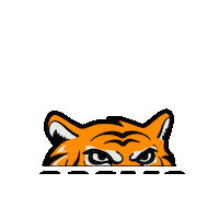 Negro Sticker by Cosmo Tires