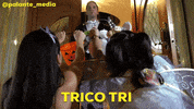 Trick Or Treat Reaction GIF by Martha of Miami