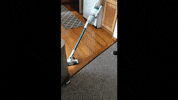 GIF by BuzzFeed