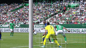 Save Stefanos Kapino GIF by SV Werder Bremen