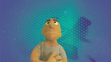 Savvy Turtle - Rock On (Official Music Video)