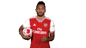 Premier League Football Sticker by Arsenal
