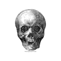 Halloween Spinning Sticker by The Wild Curiosity