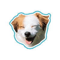 Happydog Smiledog Sticker by Psitwór