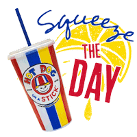 Cup Lemonade Sticker by Hot Dog on a Stick