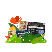 Spring Season Flowers Sticker by Wellington Crackers