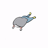kikuchimisaki  GIF