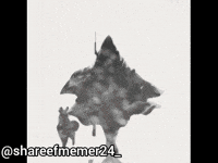White Death Wd GIF