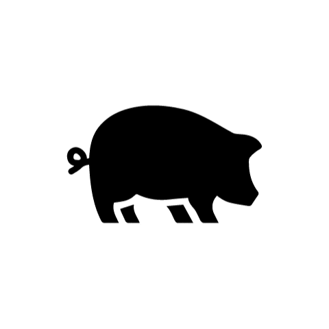 reconnews giphyupload pig reconnews Sticker