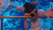 Clementine GIF by Halsey