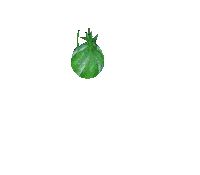 Flower Blooming Sticker