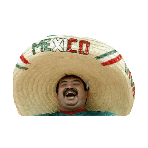 mexican GIF by imoji