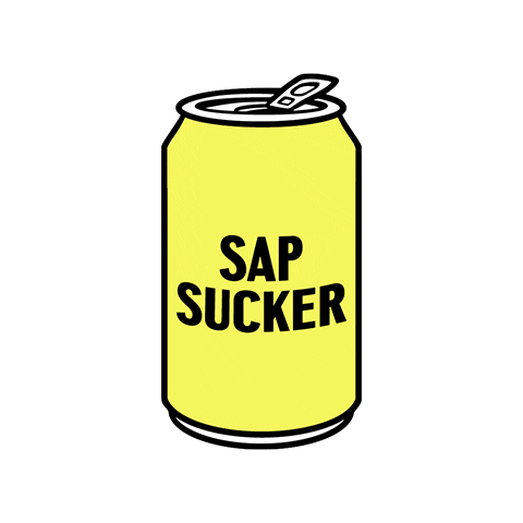 Bubbles Sticker by Sapsucker