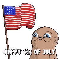Independence Day America Sticker by Fugz Official