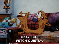 nicksplat GIF