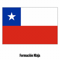 Flag Pixel Art GIF by Formación Ninja