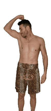 Boxer Jaguar Sticker by Matteo Signani - Il Giaguaro