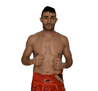 ilgiaguaroMS boxer sfida boxeur combattimento Sticker