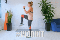 SkiBro skiing skibro GIF