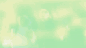 100 Days 100 Nights GIF by Chuckyy