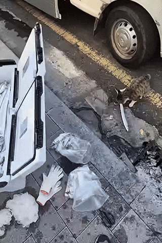 uuusssuuu giphyupload GIF