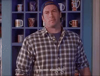 season 2 netflix GIF by Gilmore Girls 