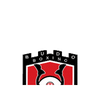 Martial Arts Mma Sticker by Budo Boxing