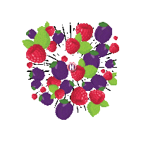 Fruit Berry Sticker by Hamburg Brewing Company