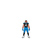 Keep Pounding Carolina Panthers Sticker by Panini America