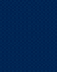 Ivan Santini Football GIF by FC Zürich