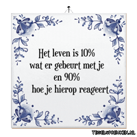 Nl Leven Sticker by Tegelspreuken.nl
