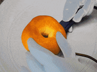 bagelwagel bagel bagels bagelnet GIF