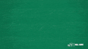 Wave Tennis GIF by GreenWave