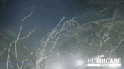 Hip Hop Rock GIF by Hurricane Festival