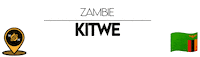 Nn Kitwe Sticker by NoirNomads