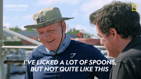 Gordon Ramsay Disney Plus GIF by National Geographic TV