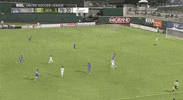 GIF by Seattle Sounders