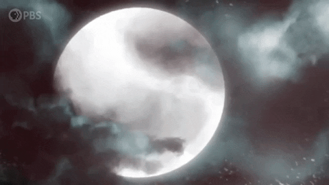 Werewolf Monstrum GIF by PBS Digital Studios