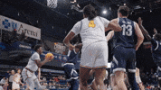 New York Basketball GIF by Hofstra University