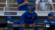 Happy Ny Mets GIF by New York Mets