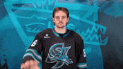 See Ya Hello GIF by San Jose Barracuda