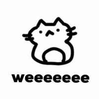 Happy Cat GIF
