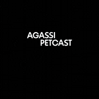 Cat Dog GIF by LIDL Official