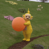 Football Soccer GIF by Teletubbies