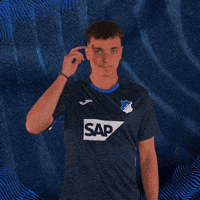 Sport Bundesliga GIF by TSG Hoffenheim