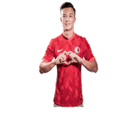 HongKongFootballAssociation football matt hk orr Sticker