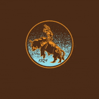 GIF by IllumiNative
