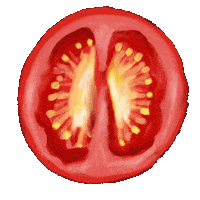 Food Salad Sticker by katxdesign